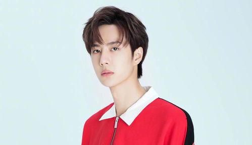 爱豆吃瓜娱乐酱陈晓,爱豆吃瓜娱乐酱，揭秘娱乐圈幕后故事  第3张