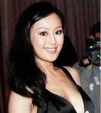 香港章小蕙爆料视频全集,揭秘香港娱乐圈幕后真相 第3张 香港章小蕙爆料视频全集,揭秘香港娱乐圈幕后真相 第3张